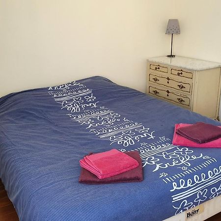 Domaine D'Herminis - Gite De Dame Carcas Carcassonne Room photo